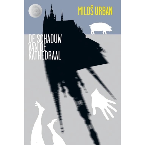 De schaduw van de kathedraal (Paperback)
