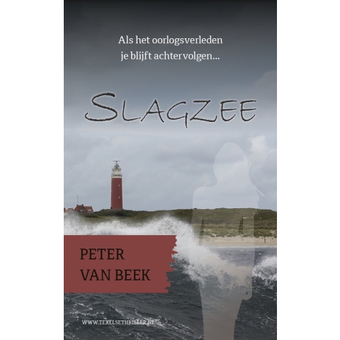 Slagzee (Paperback)