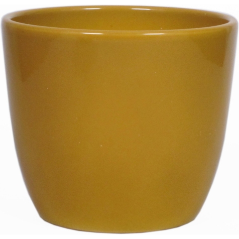 Bloempot - glanzend - oker geel - keramiek - voor kamerplant - H22.5 x D25 cm -