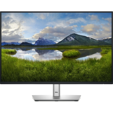 Dell P2425 monitor