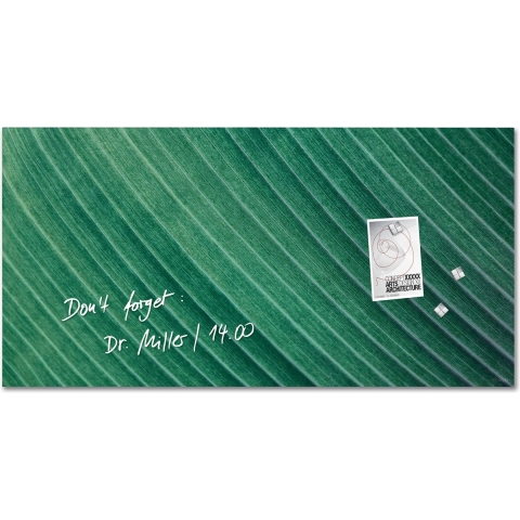 Sigel SI-GL371 Glasmagneetbord Artverum Palm Leaf 91x46 cm Groen