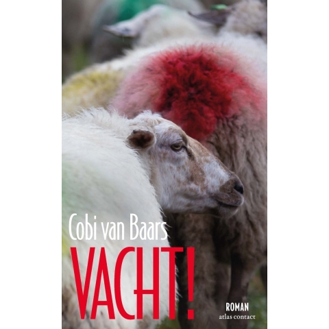 Vacht! (Paperback)