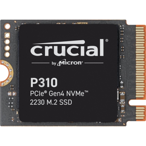 P310 1 TB SSD
