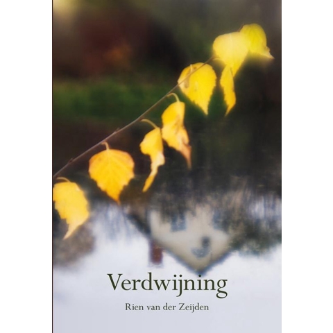 Verdwijning (Paperback)