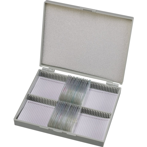 BRESSER Microscoop preparaten 50 stuks - Biologie