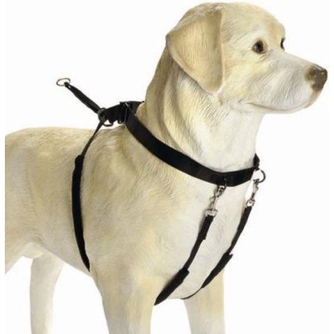 Beeztees Gentle Walker - Hondentuig - Zwart - L