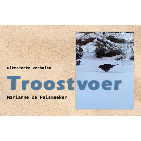 Troostvoer (Paperback)