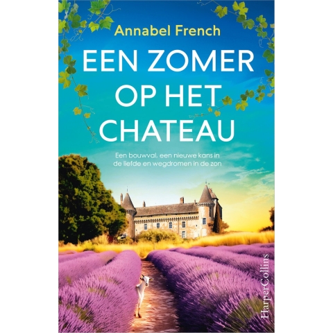 Een zomer op het chateau (Paperback)