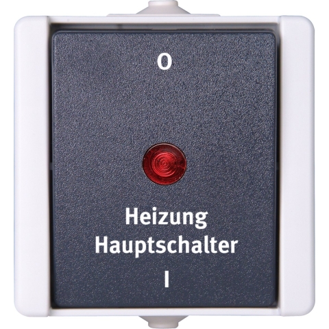 Kopp 541356004 proAQA Compleet Verwarmingsnoodschakelaar spatwaterdicht Grijs 1 stuks 1 stuk(s)