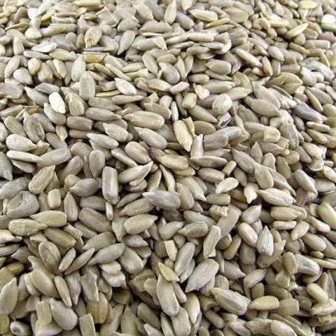 Gepelde Zonnebloempitten 25kg - Gepelde zonnepitten - Bakkers kwaliteit - Buitenvogelvoer