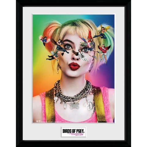 DC Comics: Birds of Prey - One Sheet 30 x 40 cm Collector Print Poster