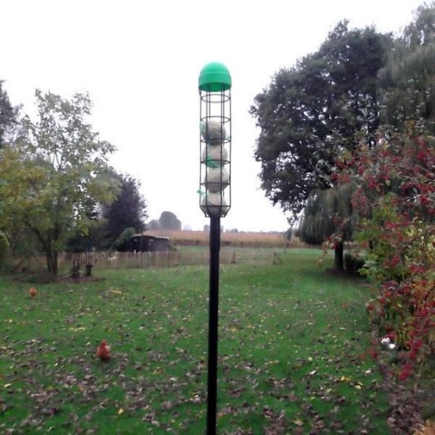 Vetbollenautomaat - Vogelvoederhuisje - Zwart - 9 cm x 9 cm x 240 cm