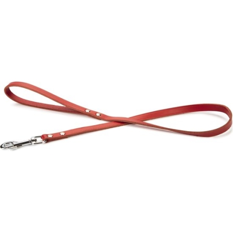 Beeztees - Hondenriem - Geniet - Rood - 100x16 cm