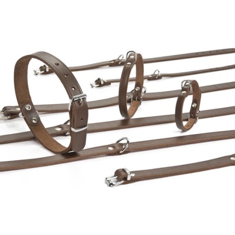 halsband - Bruin 32x10