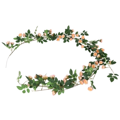 Rosa bonica 10x10x180 cm brn - Countryfield