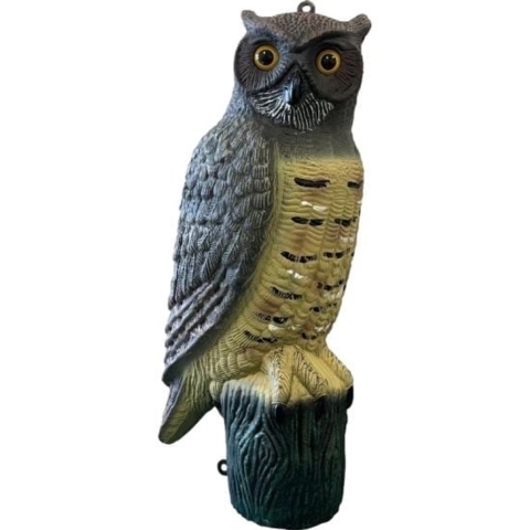 Deco vogel uil - Aquadistri