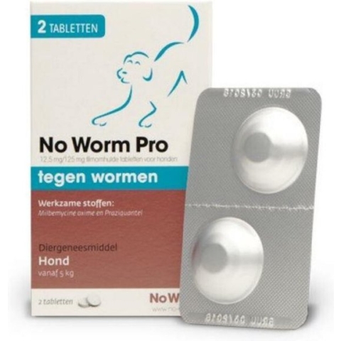 Exil No Worm Pro - Hond - 2 Tabletten