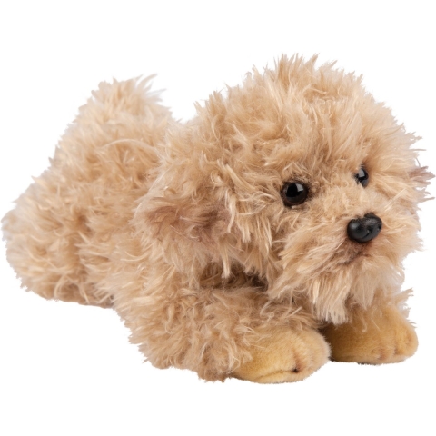 Pluche knuffeldier - Labradoodle hond - 30 cm - honden huisdieren knuffel -
