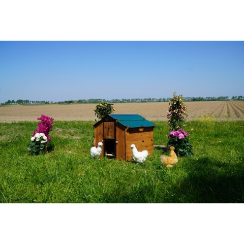 Kippenhok Polly Farm Mignon