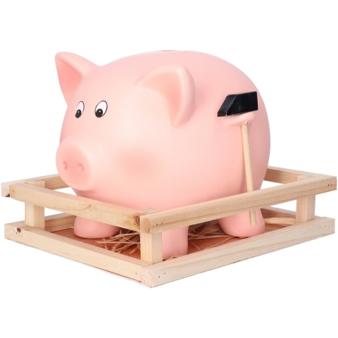 Spaarvarken met hamer in kistje - keramiek - 21 x 16 cm - Spaarpot -