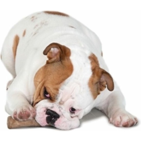 Petstages Durable Stick M