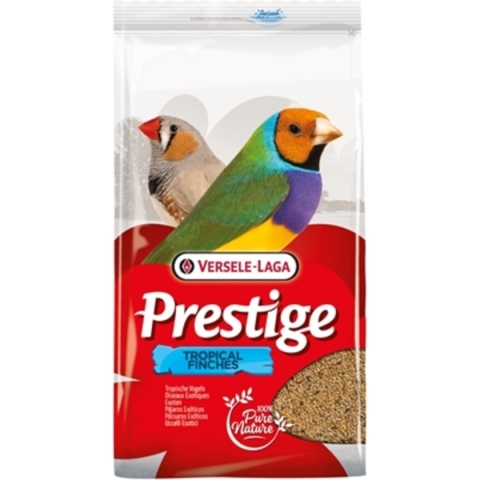 Prestige Tropische Vogel
