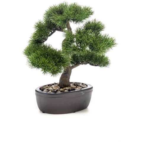 Bonsai 5 - Driesprong collection
