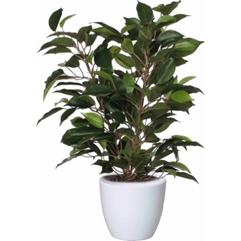 Groene ficus kunstplant 40 cm met plantenpot glanzend wit D13.5 en H12.5 cm -