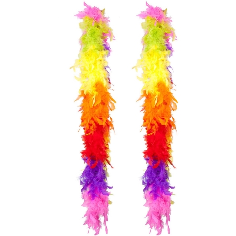 Carnaval verkleed boa met veren - 2x - regenboog kleuren - 180 cm - 50 gram - Pride thema -