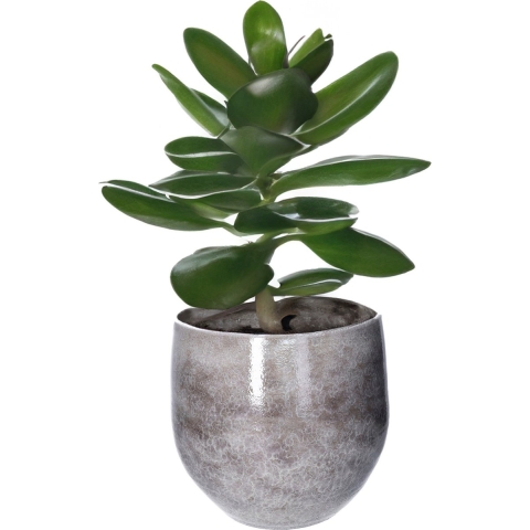 Plantenpot/bloempot terracotta - grijs - D33 x H31 cm - binnen -