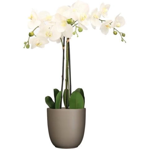 Orchidee kunstplant wit - 75 cm - inclusief bloempot taupe mat -