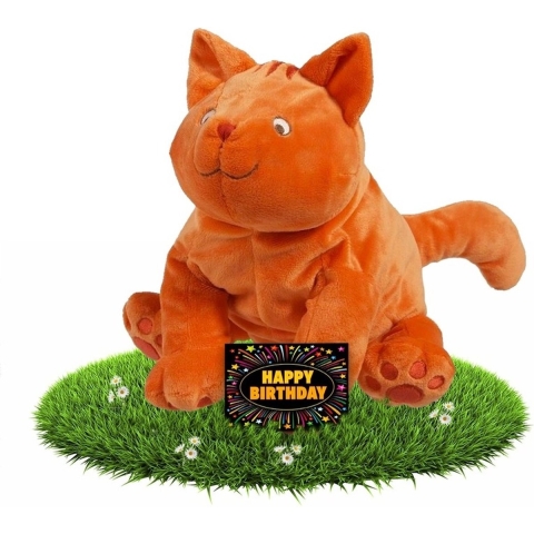 Verjaardag knuffel Dikkie Dik 43 cm met gratis verjaardagskaart -