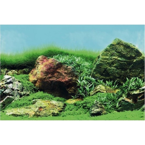 SuperFish Deco Poster Aquascape Plant 120X61cm