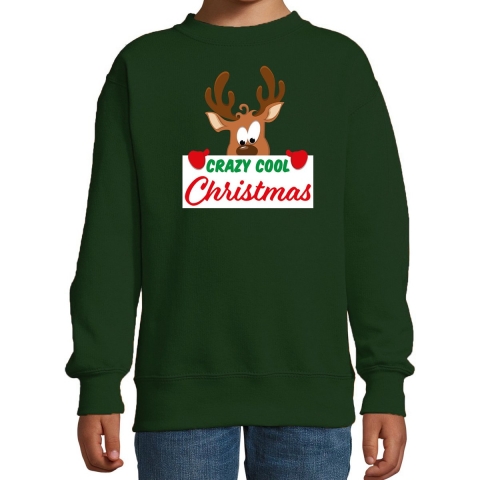 Crazy cool Christmas Kerstsweater / Kersttrui groen voor kinderen 14-15 jaar (170/176) -