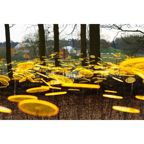 7 stuks! Zonnevangers Geel groot 175x20 cm Cazador Del Sol - Cazador del sol
