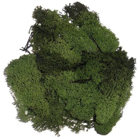 Decoratie nep mos 50 gram - 4x - groen - Hobby/knutselen - herfst/kerst thema - opvullen - decoreren -