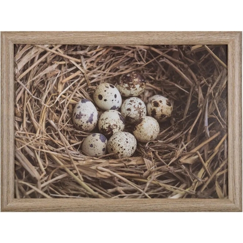 Mars & More Schootkussen Laptray - eieren in nest print - 43 x 33 cm -