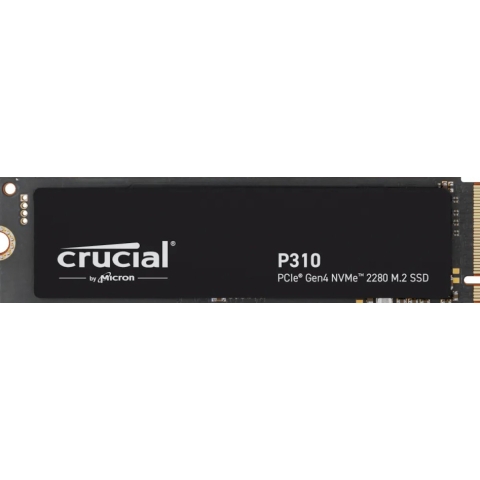 P310 2 TB SSD