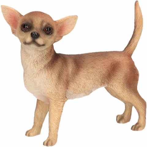 Chihuahua beeldje - staand - honden beeld - 10 cm - polystone -