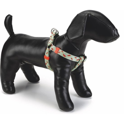 Beeztees nylon borsttuig Melon Lichtgroen 60-100 cm 25 mm