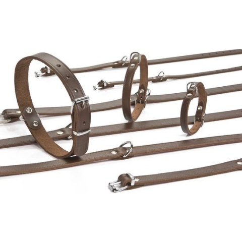 Beeztees - Halsband Hond - Leer - Bruin - 37,5-46,5 cm x 20 mm