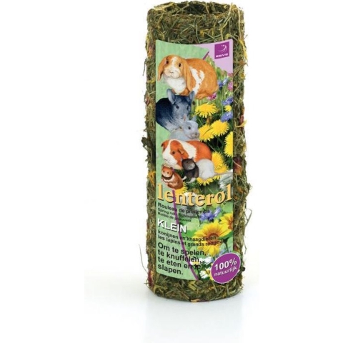 Esve Lenterol - Small - 20 cm