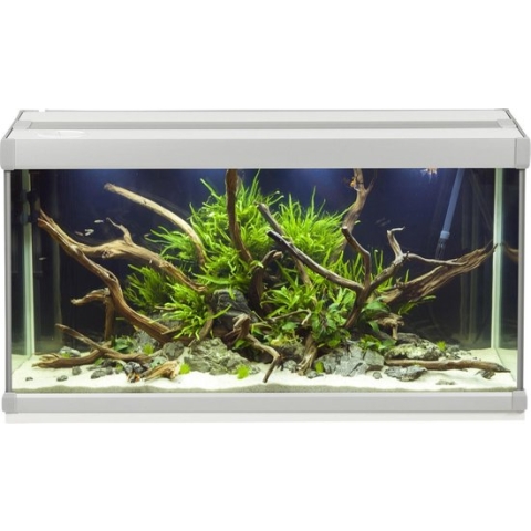 Akvastabil Family Aquarium - 70 x 32,5 x 37 cm - 80 L - Wit