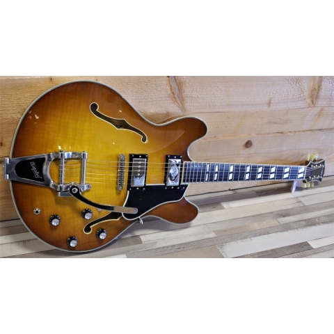 Eastman T486B Goldburst