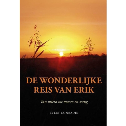 De wonderlijke reis van Erik (Paperback)