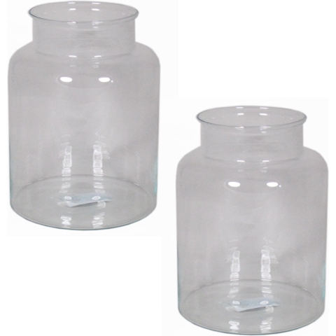 Vaas melkbus - 4x - smalle hals - glas - transparant - 19 x 25 cm - Bloemenvazen -