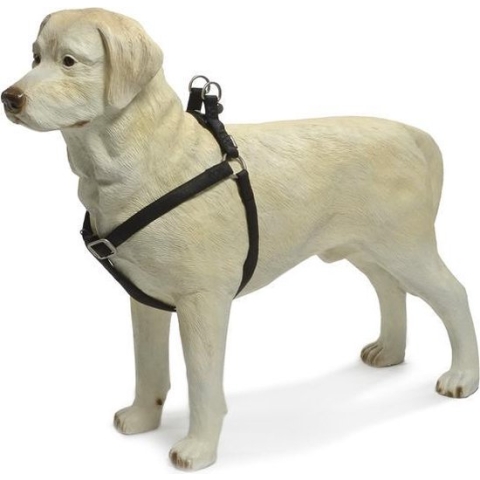 Beeztees - Borsttuig Hond - MacLeather - Zwart - M - 50-75 cm