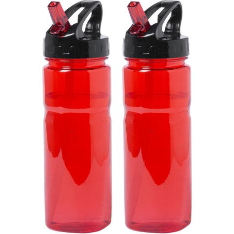 Kunststof waterfles/drinkfles/sportfles - 2x - rood - met drinktuit - 650 ml -