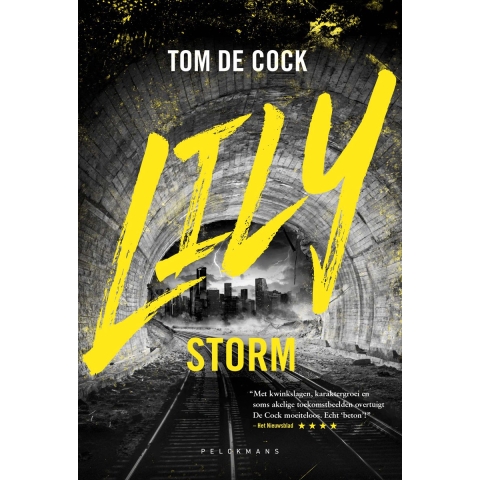Lily: Storm (Paperback)