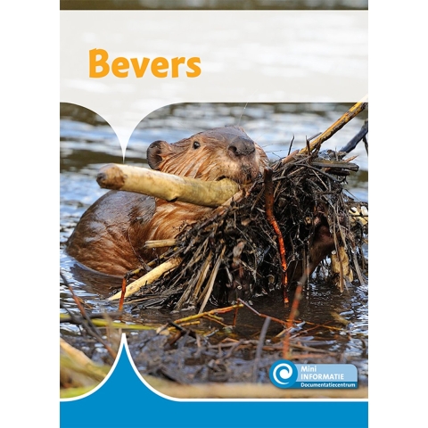 Bevers (Hardback)